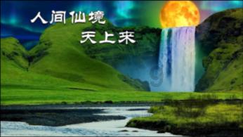 救援采蜜人