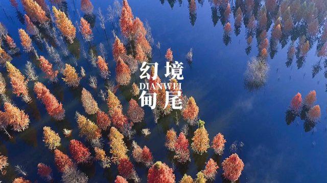 探索奇妙世界!尽在《扫黑风暴》中,马帅死后李丽涓主动联系董耀,是因为钱吗?冷知识分享平台