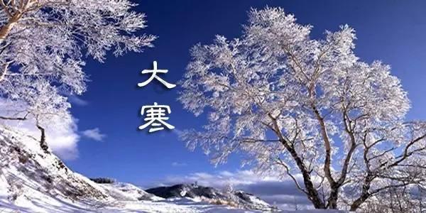 苏菲亚和安伯的休闲装