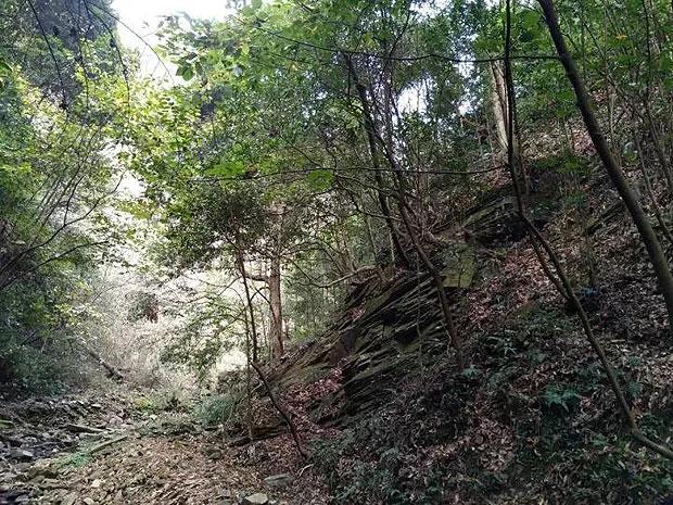 逃出平静乡村