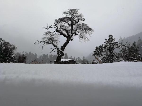 屠龙破晓