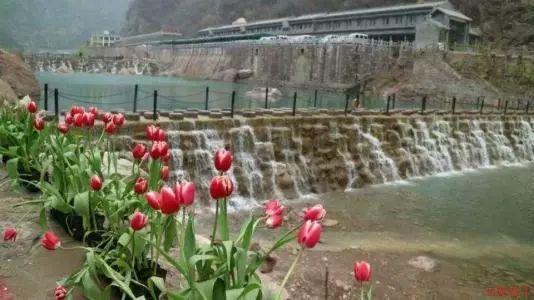 植物大战僵尸
