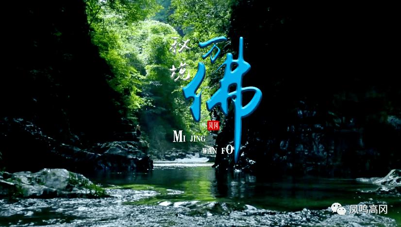 88影视