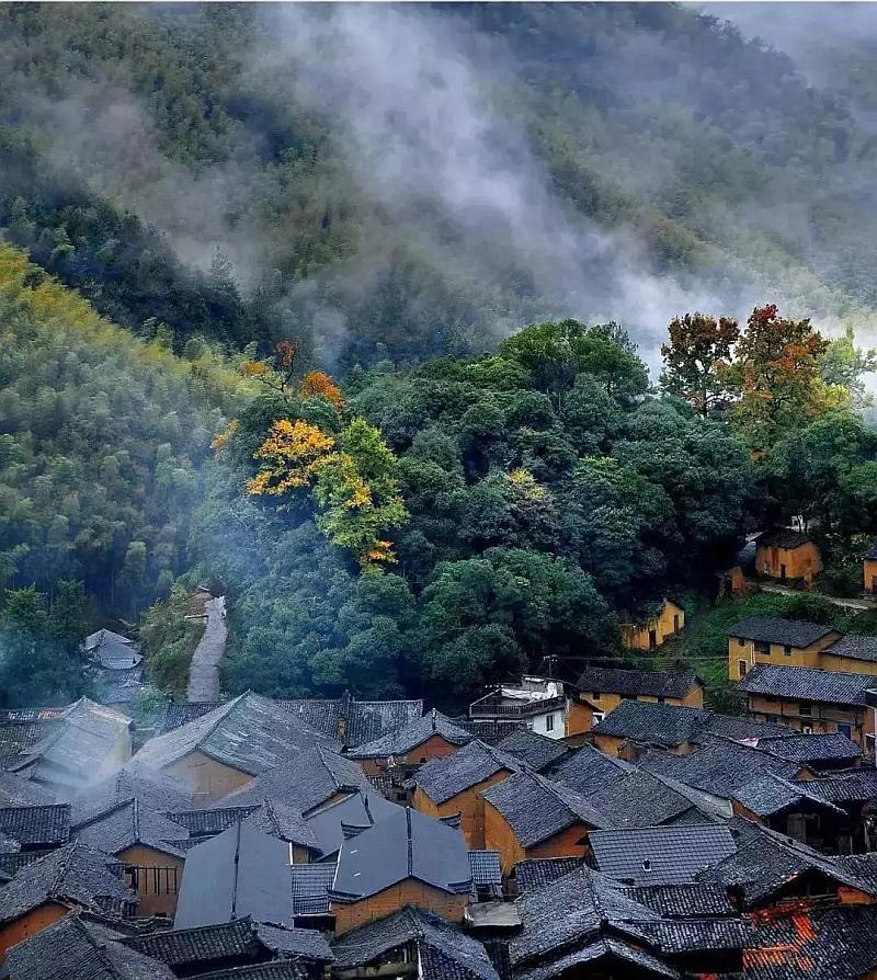 逃离白鸽之森