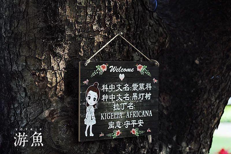 嘉日单词