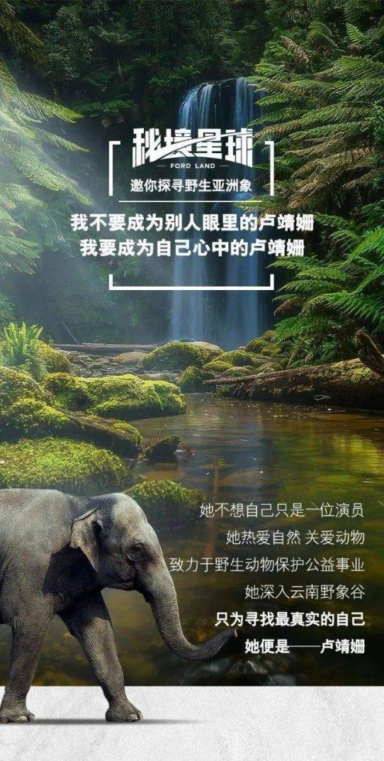 TFboys陪你做暑假作业