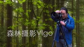 僵尸屠戮