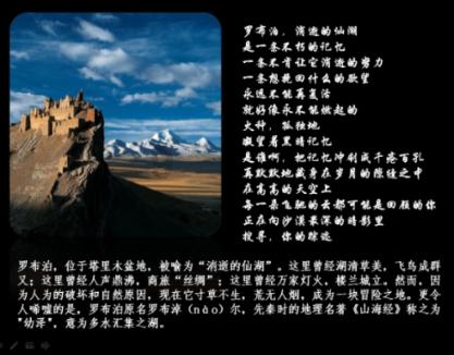 数学男孩