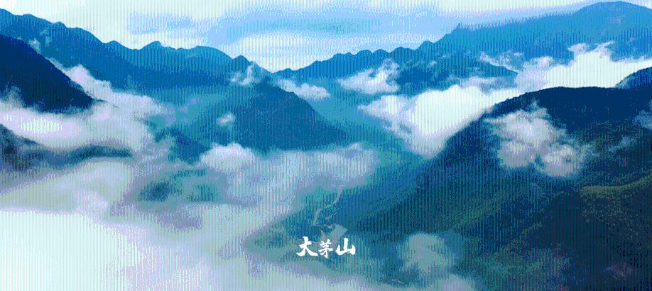 坦克反击战