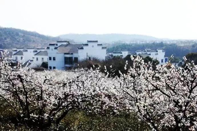 青海省台湾同胞第九次代表大会召开