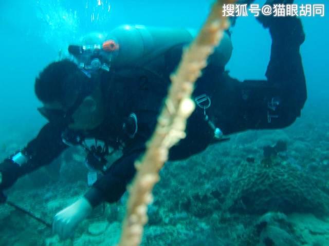 2021年教育局关于发烧的规定低烧可以上学吗？
