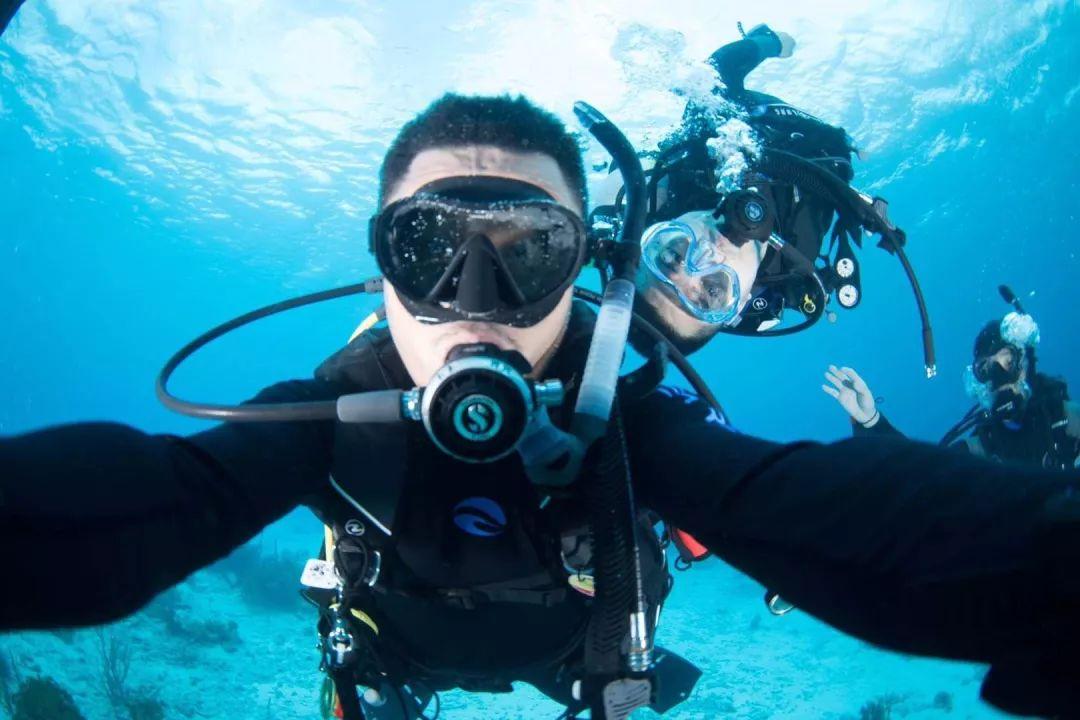 熊出没夺宝历险
