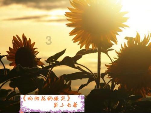 苹果内存其他占了好多怎么清理游戏画面