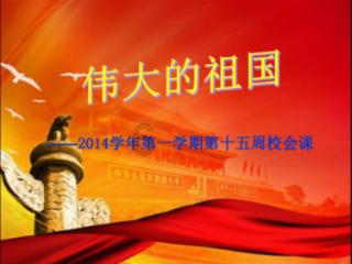 泡沫森林