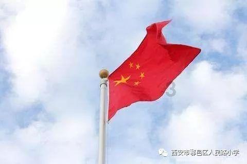 动物帮帮忙保卫家园