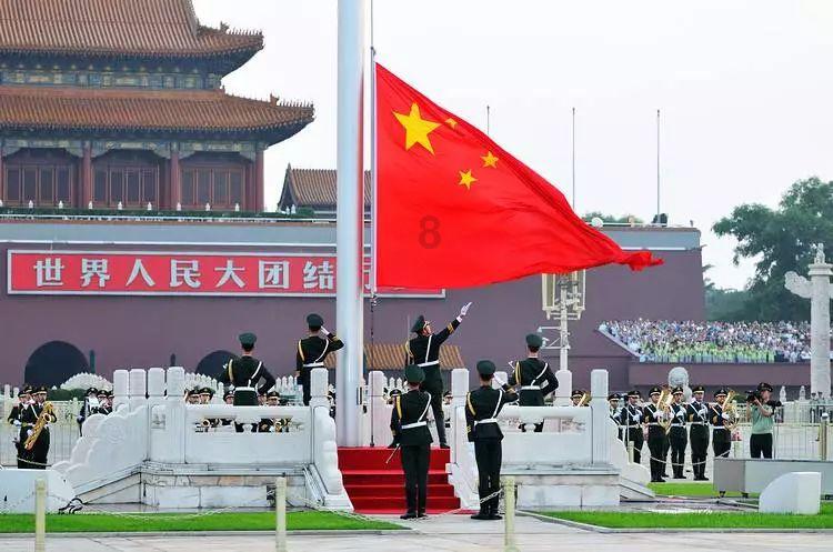 【用酸奶浇花好不好?】全面解答,一站式问答平台