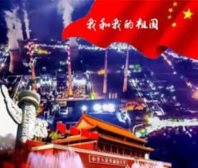 利好不及预期引发比亚迪H股五连跌 机构如何评价?