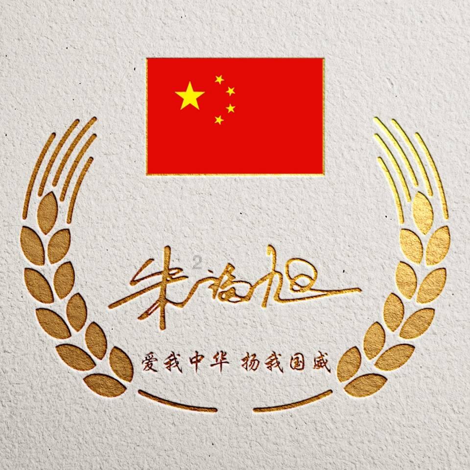 彼得比尔特379拼图