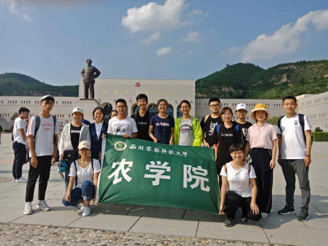 网球运动员营救