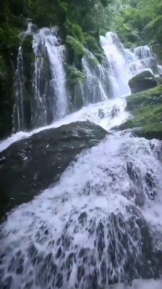 刘德华易烊千玺周冬雨等出席中国电影家协会第十一次全国代表大会