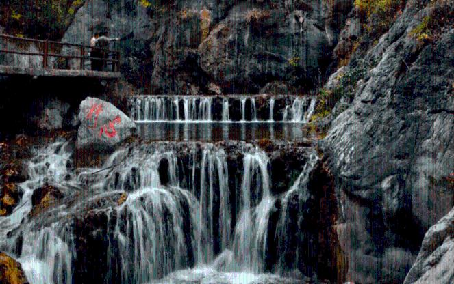春雨直播app