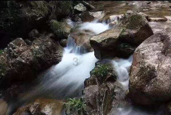 部落与弯刀心灵女巫加点游戏画面