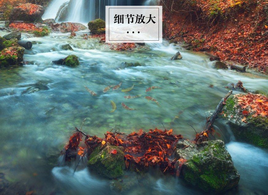 牛仔和T恤
