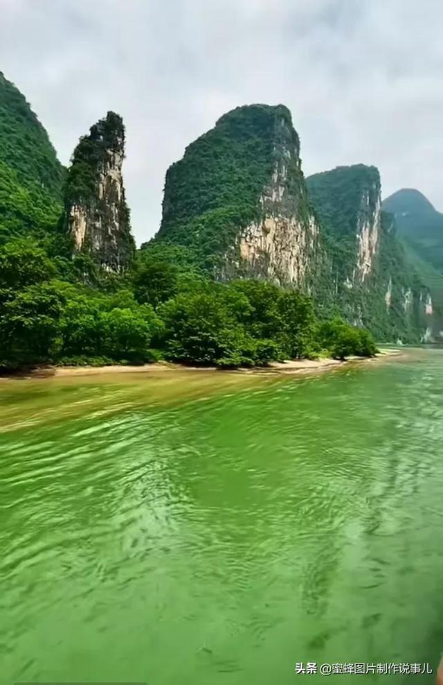 小猫钓鱼游戏龙王版有船
