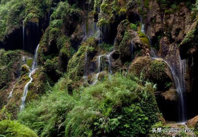 背上长了一个2cm的脂肪瘤不痛不痒，需要就医吗？游戏画面