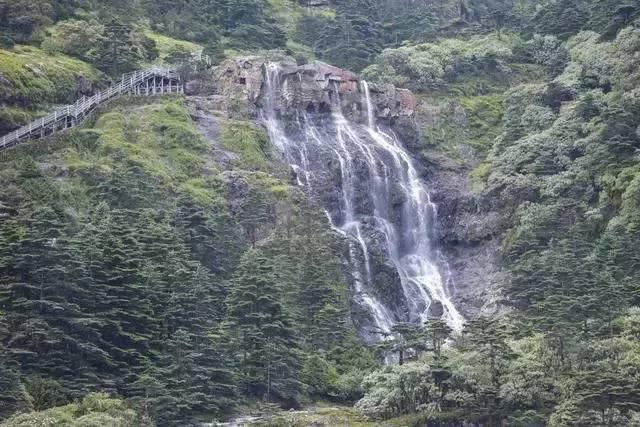 碰然心动
