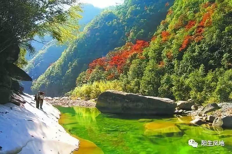大江大河:雷东宝意图享齐人之福,惨遭韦春红谋权篡位