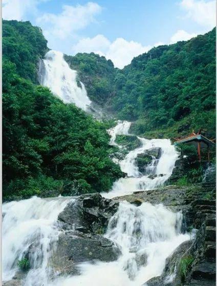 逃出小象森林