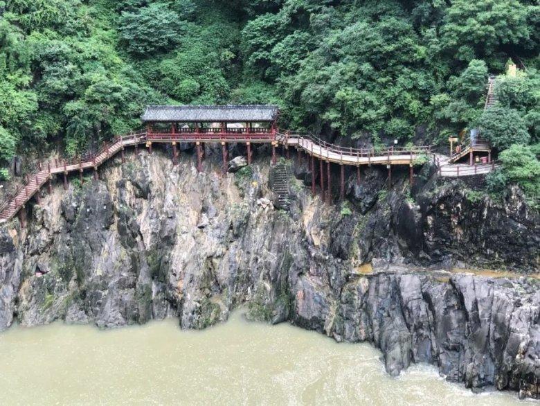 爱吃叶子的毛毛虫