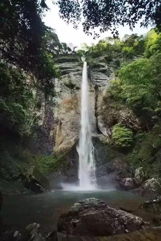 疯狂的小偷