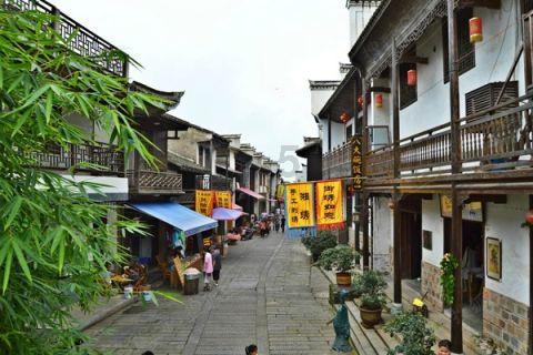 白色森林逃脱