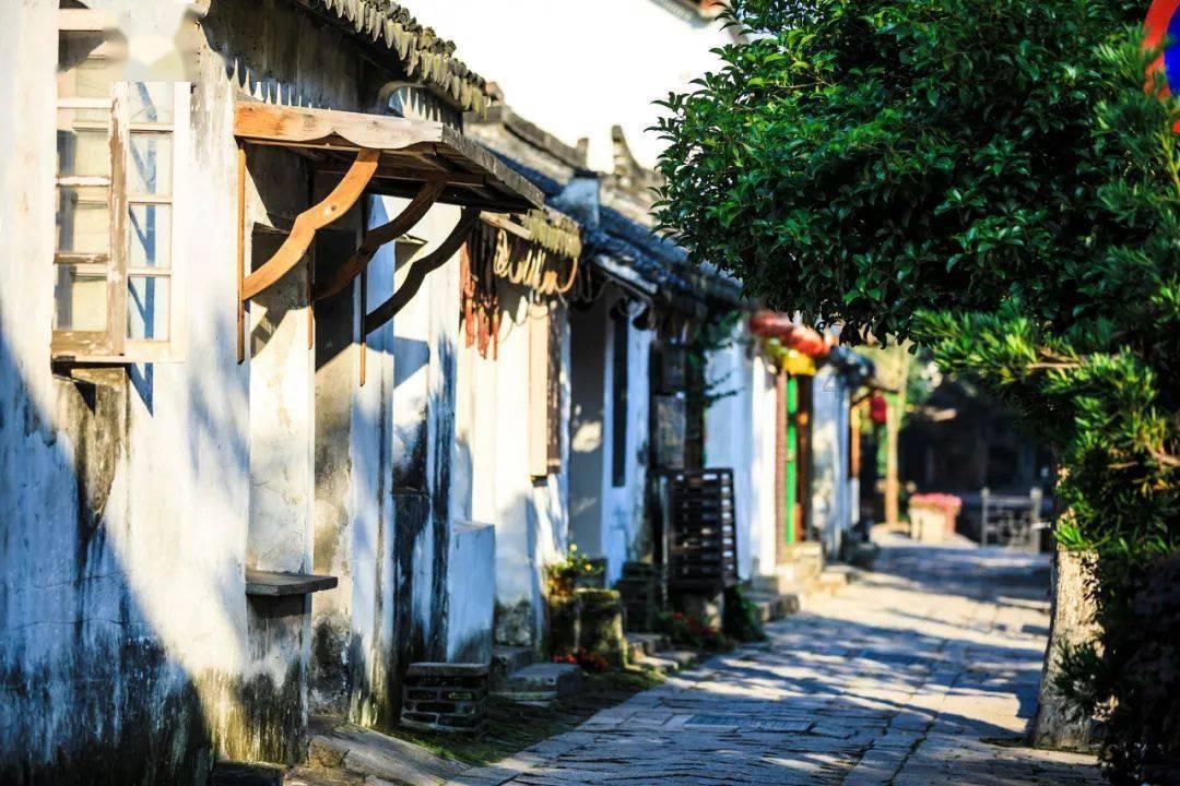 武斗纹章2初篇