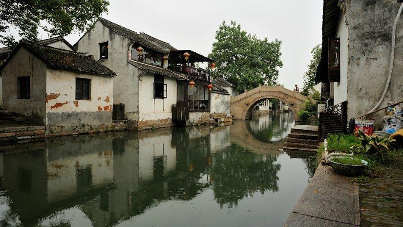 采挖冬葱 供应市场