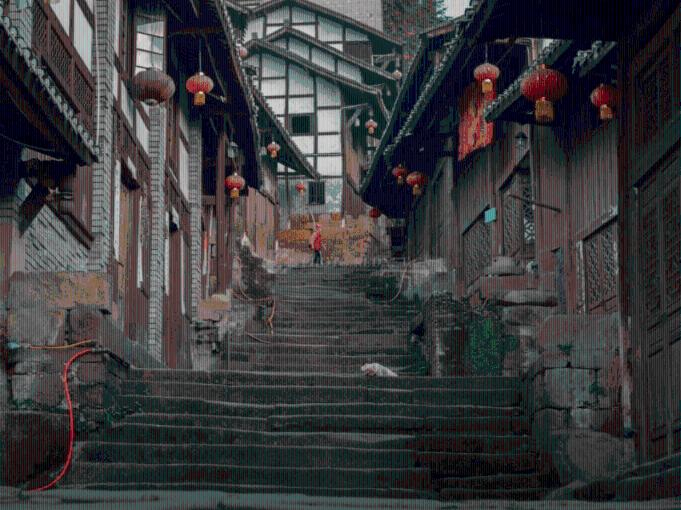 逃离白鸽之森