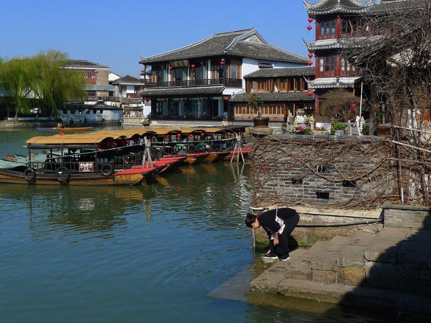 大山羔羊逃生