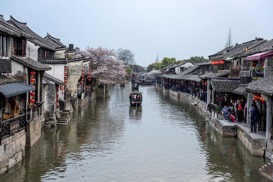 动物帮帮忙保卫家园