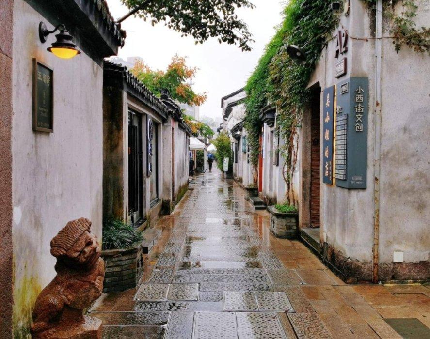 为何中国东北虎会变得这么少呢?红迪网-分享和探索有趣的内容