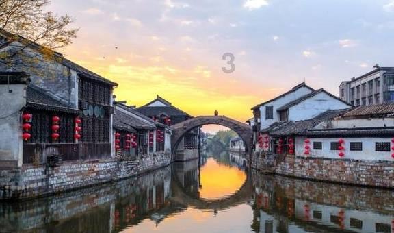 大熊猫渝可渝爱互“掐”,吊桥经不起折腾断裂,俩熊摔懵了