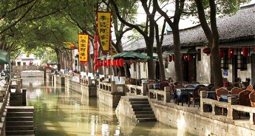 细胞分裂6