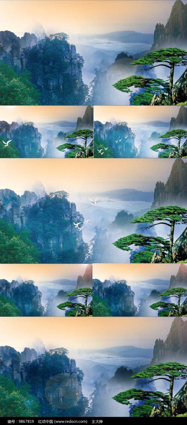 逃离仿真森林